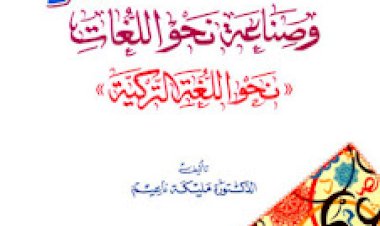 النقد النحوي وصناعة نحو اللغات: نحو اللغة التركية